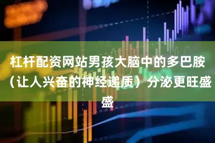 杠杆配资网站男孩大脑中的多巴胺（让人兴奋的神经递质）分泌更旺盛